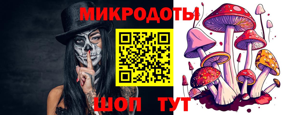 Псилоцибиновые грибы прущие грибы Берёзовский