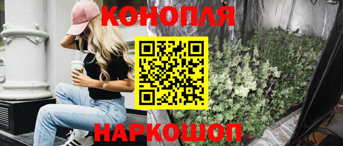 Бошки Шишки семена  Вход с VPN  Шишки марихуана White Widow  Берёзовский  Канабис Ganja 